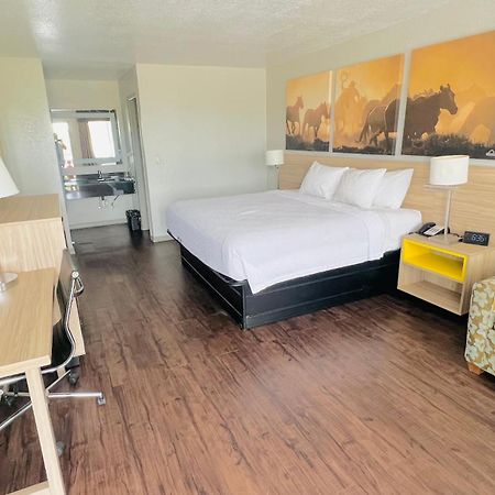 Days Inn & Suites By Wyndham - Canton First Monday Trade Days Extérieur photo